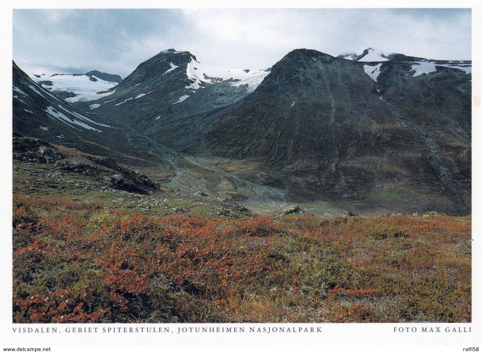 1 AK Norwegen * Visdalen - Das Gebiet Spiterstulen Im Jotunheimen-Nationalpark - Das Höchste Gebirge Norwegens * - Norwegen