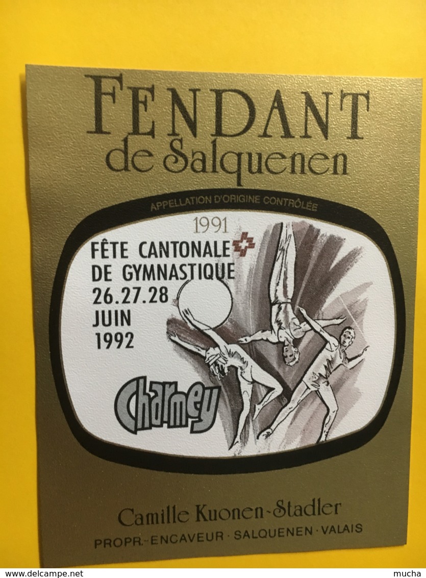 9177 -  Fête Cantonale De Gymnastique Charmexy 1992  Suisse 2 étiquettes - Autres & Non Classés