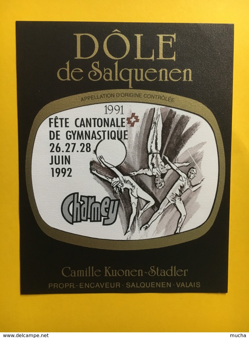 9177 -  Fête Cantonale De Gymnastique Charmexy 1992  Suisse 2 étiquettes - Sonstige & Ohne Zuordnung