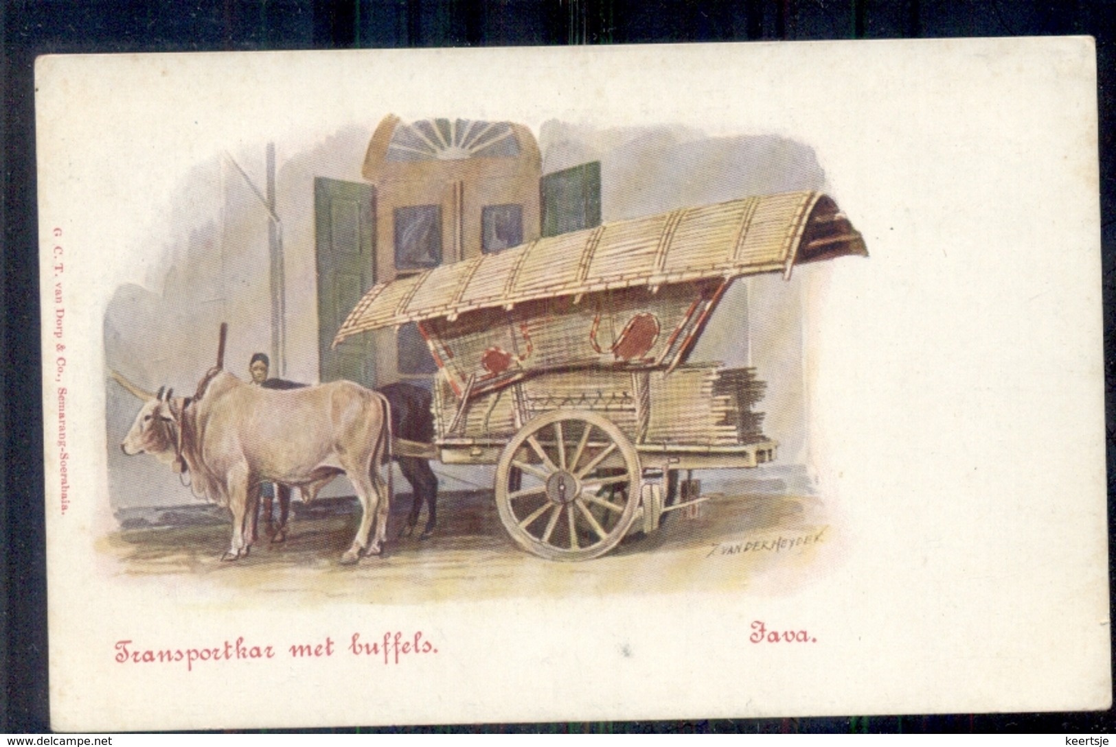 Nederlands Indië - Java - Transportkar - Buffel - 1900 - Autres & Non Classés