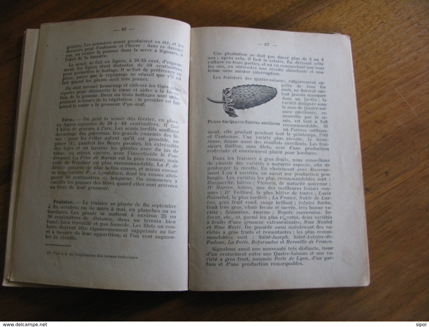 Le Petit Jardin Potager Et Fleuriste  Par Rivoire Père Et Fils  126 Pages De Texte + Pubs D époque  Années 1930??? - Jardinage