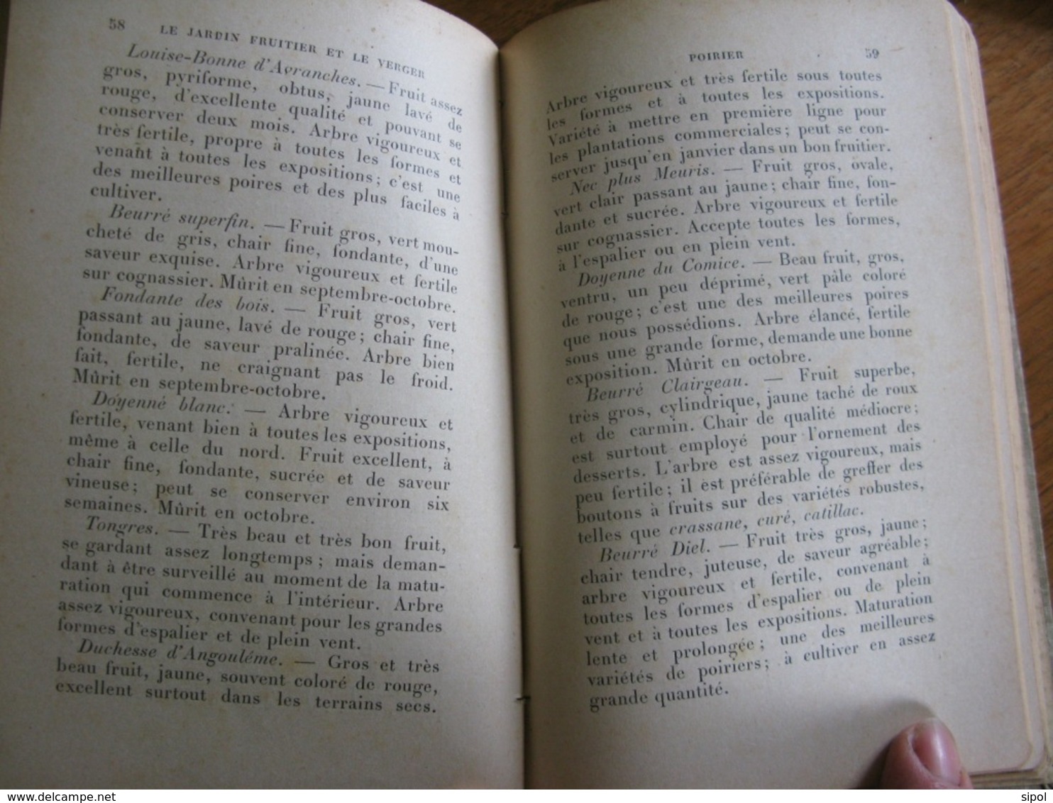 Le Jardin Fruitier Et Le Verger Les Bons Fruits Leur Conservation Et Leur Commerce 105 Pages Années 1930 ? - Jardinage