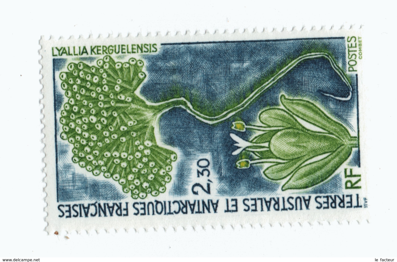 VP6L9 TAAF FSAT Neufs ** MNH Flore LYALLIA Kerguelensis 2.30 Francs 1993 N°175 - Unused Stamps