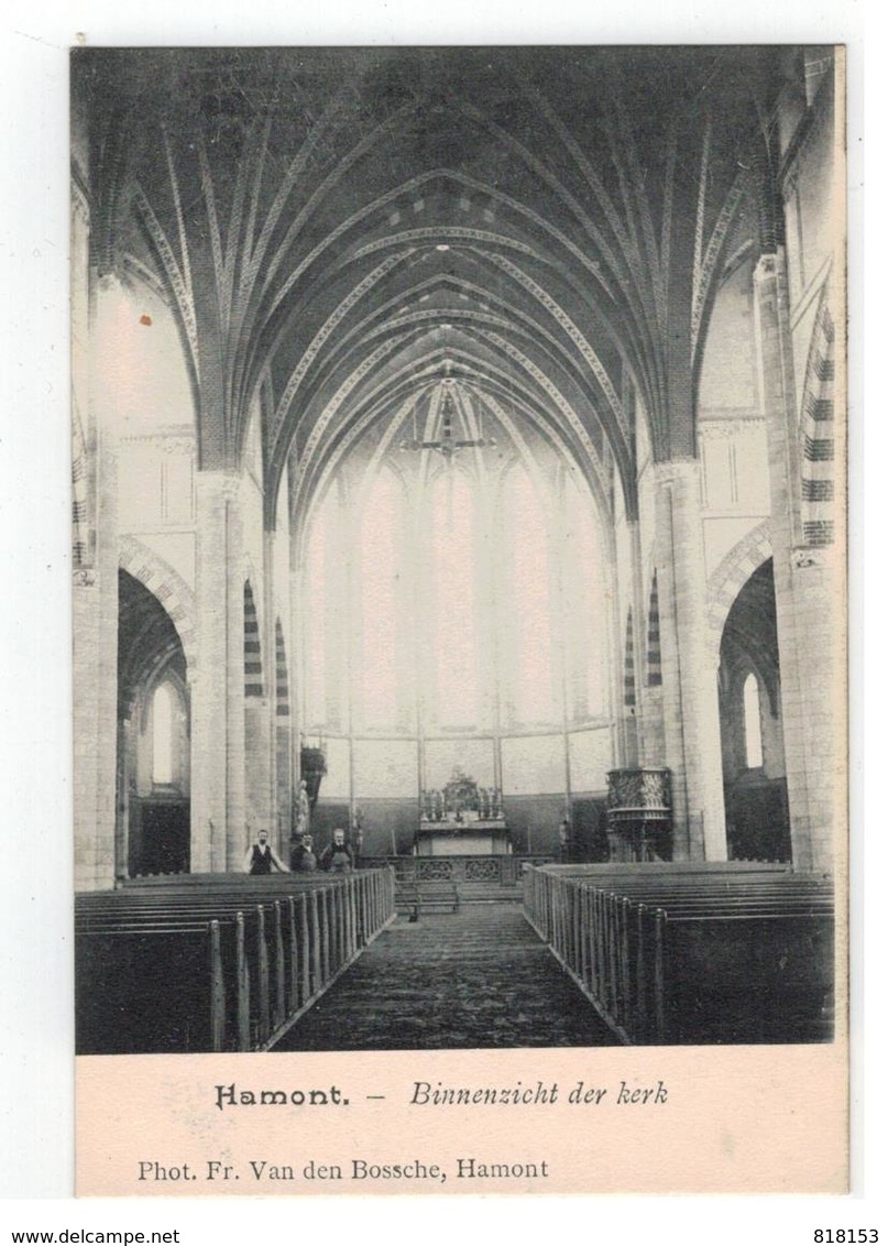 Hamont  -  Binnenzicht Der Kerk Phot.Fr.Van Den Bossche - Hamont-Achel