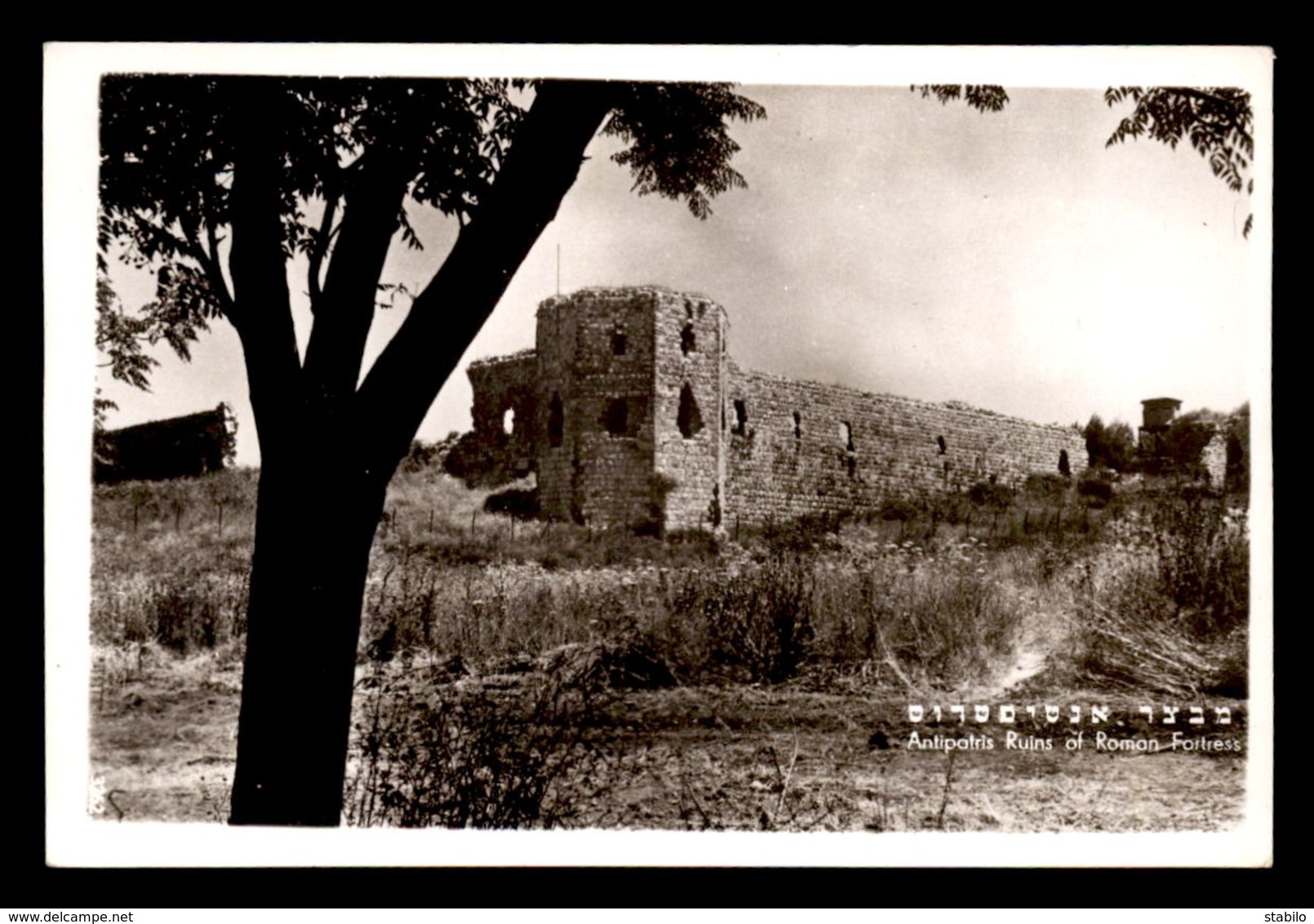 ISRAEL - ANTIPATRIS RUINS OF ROMAN FORTRESS - Israel