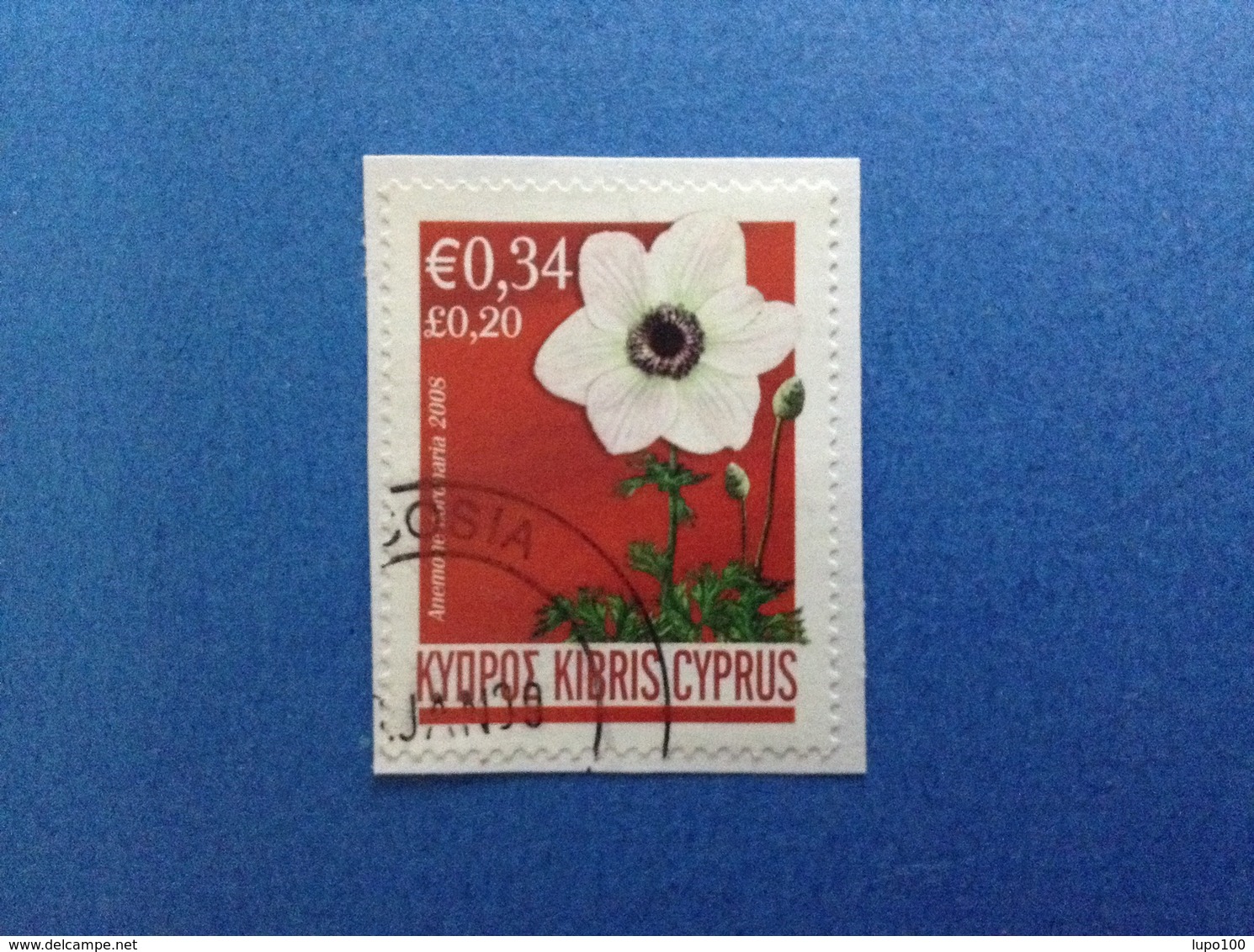 2008 CIPRO KIBRIS CYPRUS FRANCOBOLLO USATO STAMP USED - FIORI ANEMONE € 0,34 - Usati