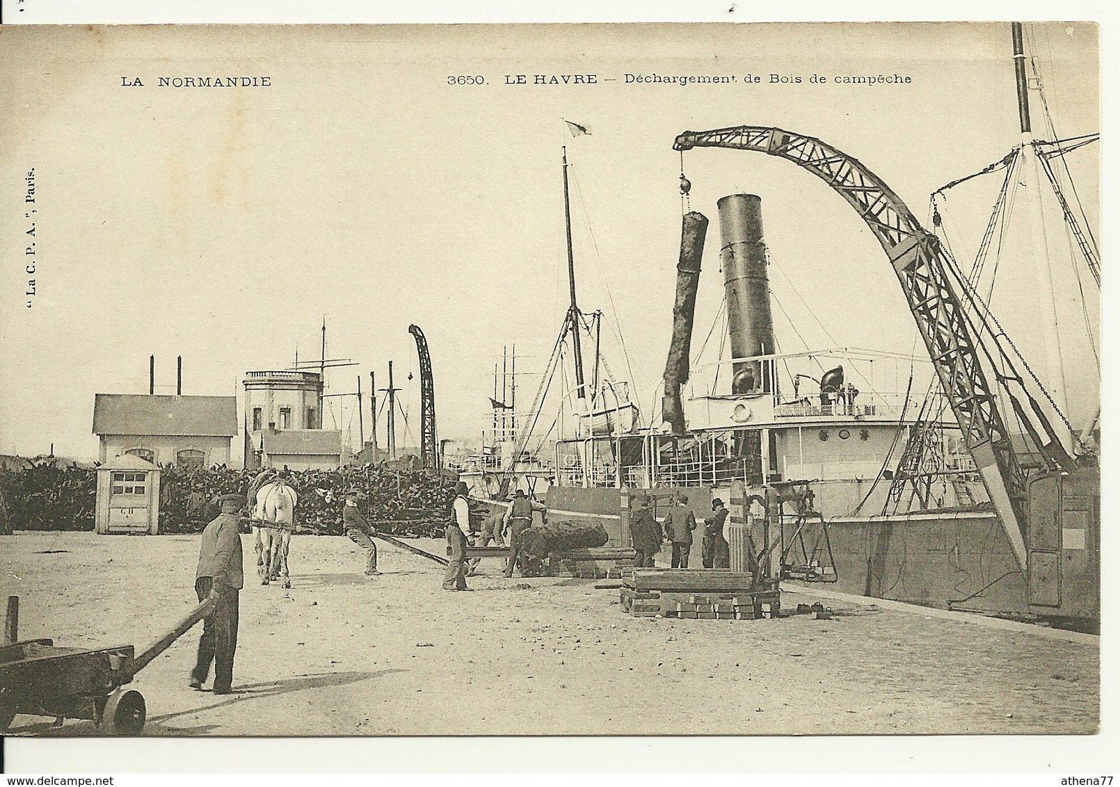 76 - LE HAVRE / DECHARGEMENT DE BOIS DE CAMPECHE - Port