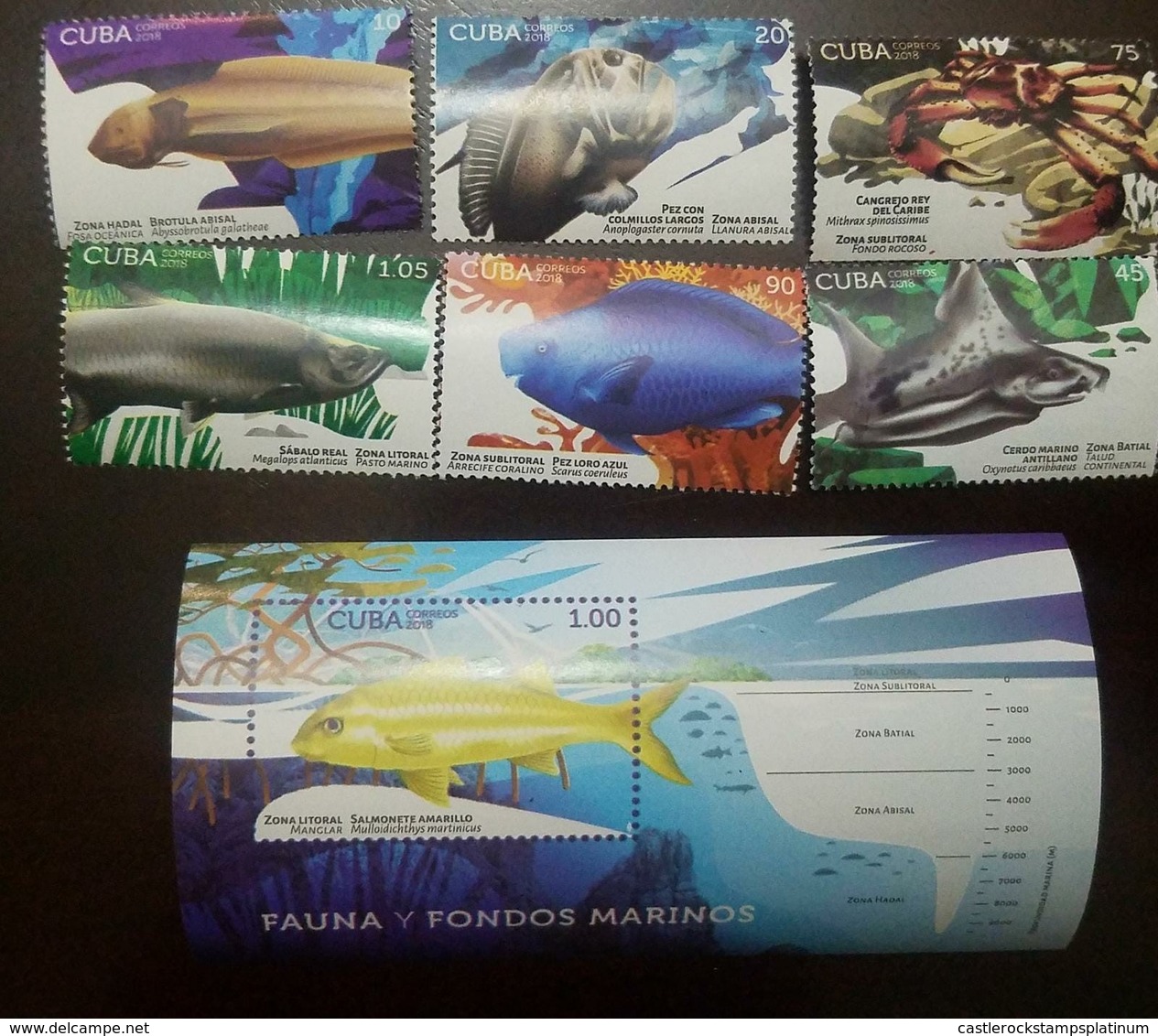 O) 2018 CUBA-CARIBBEAN SPANISH ANTILLES, FISHES - BROTULA ABYSSOBROTULA, PEZ COLMILLOS LARGOS-ANOPLOGASTER, SALMONETE-MU - Unused Stamps