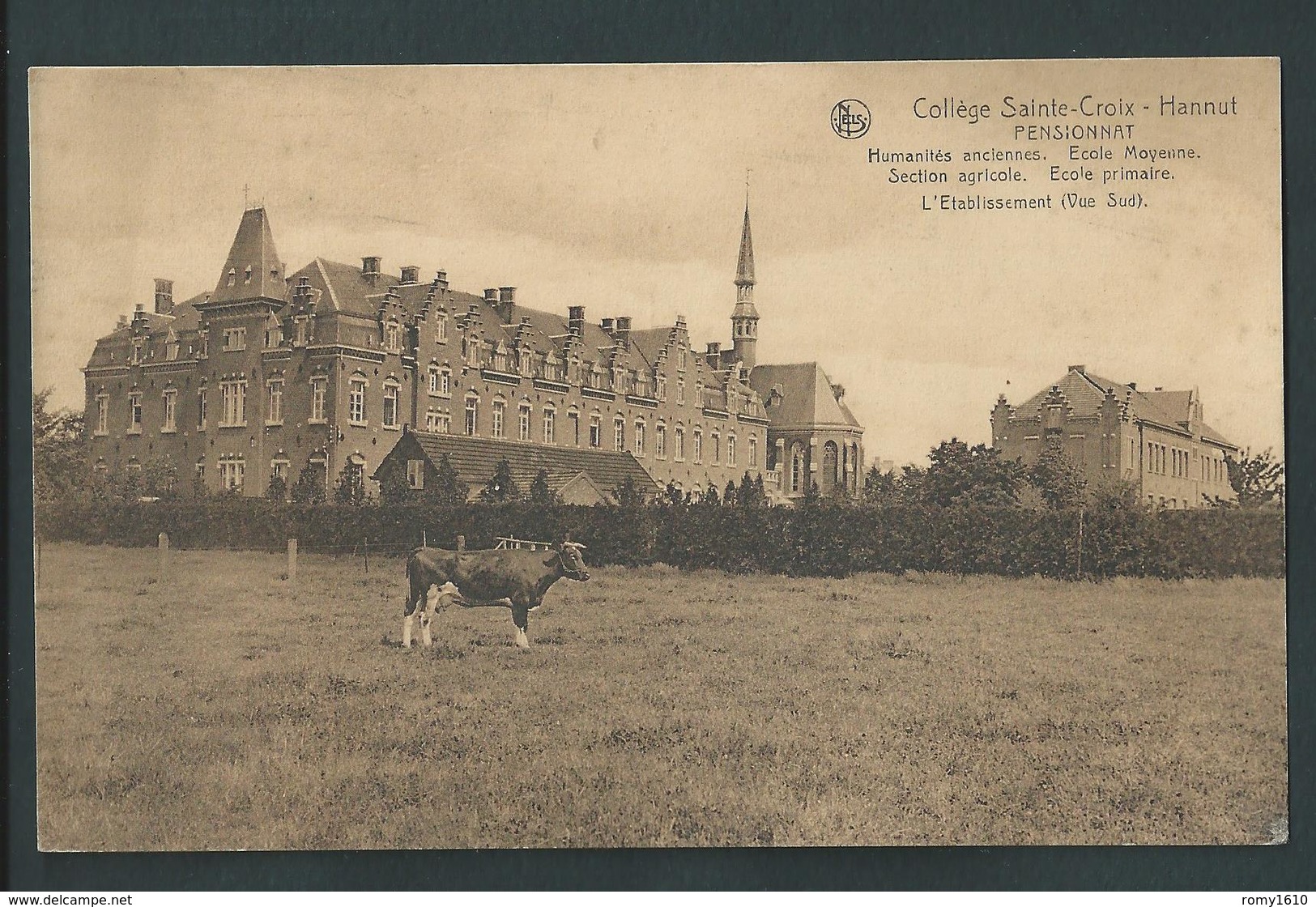 HANNUT. Collège Ste. Croix. Pensionnat. L'Etablissement Vue Sud. - Hannut