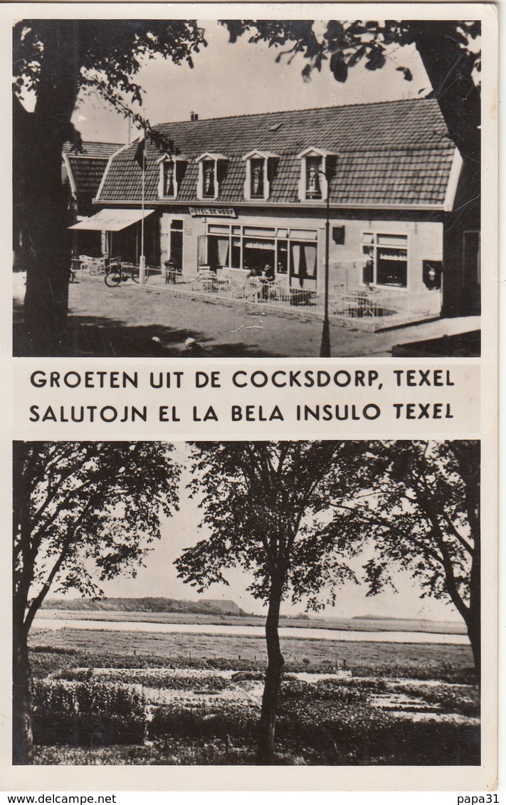 GROETEN UIT DE COCKSDORP,TEXEL SALUTOJN EL LA BELA INSULO TEXEL - Esperanto