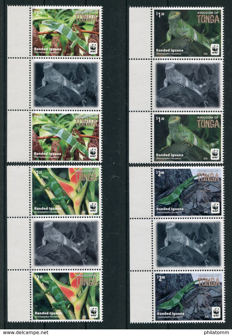 WWF - Tonga - Mi.Nr. 2098 / 2101 Gutter Pair - "Kurzkammleguan" ** / MNH (aus Dem Jahr 2016) - Neufs