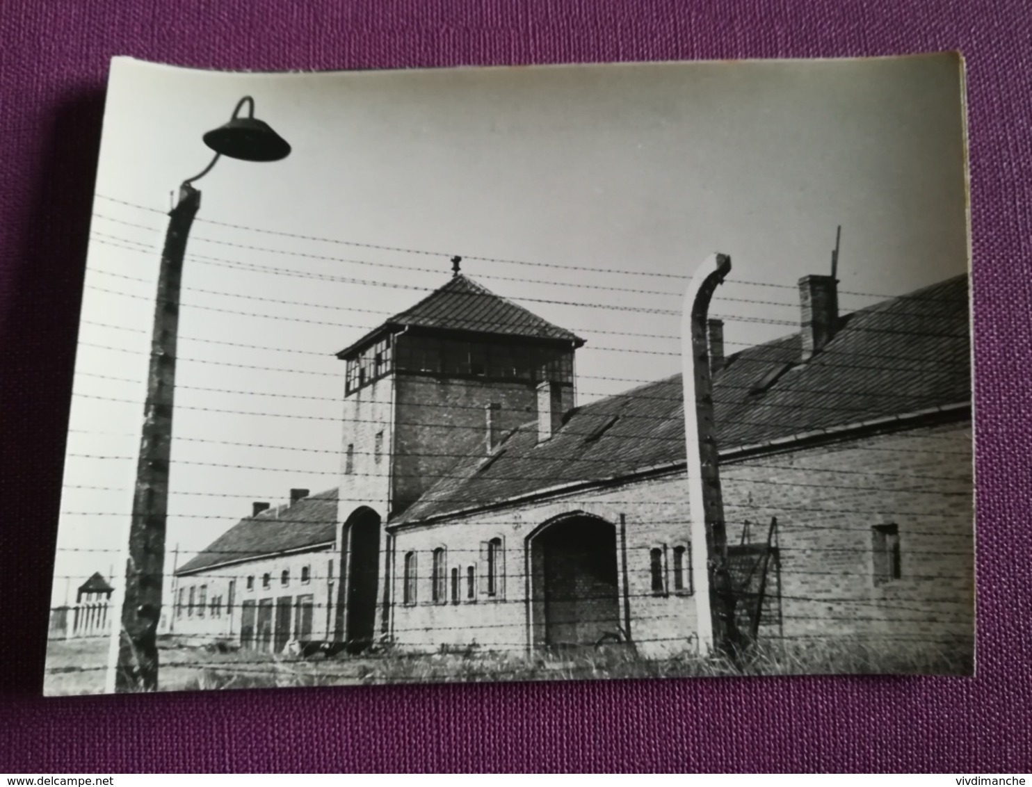 POLOGNE - AUSCHWITZ - OSWIECIM - LA PORTE D'ENTREE DE BRZEZINKA - CPSM CARTE PHOTO VIERGE - Pologne