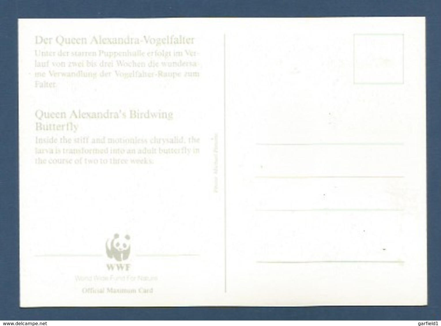 Papua-Neuguinea 1988  Mi.Nr. 576 , Queen Alexandra`s Birdwing Butterfly - WWF Maximum Karte - First Day  19.9.1988 - Papouasie-Nouvelle-Guinée