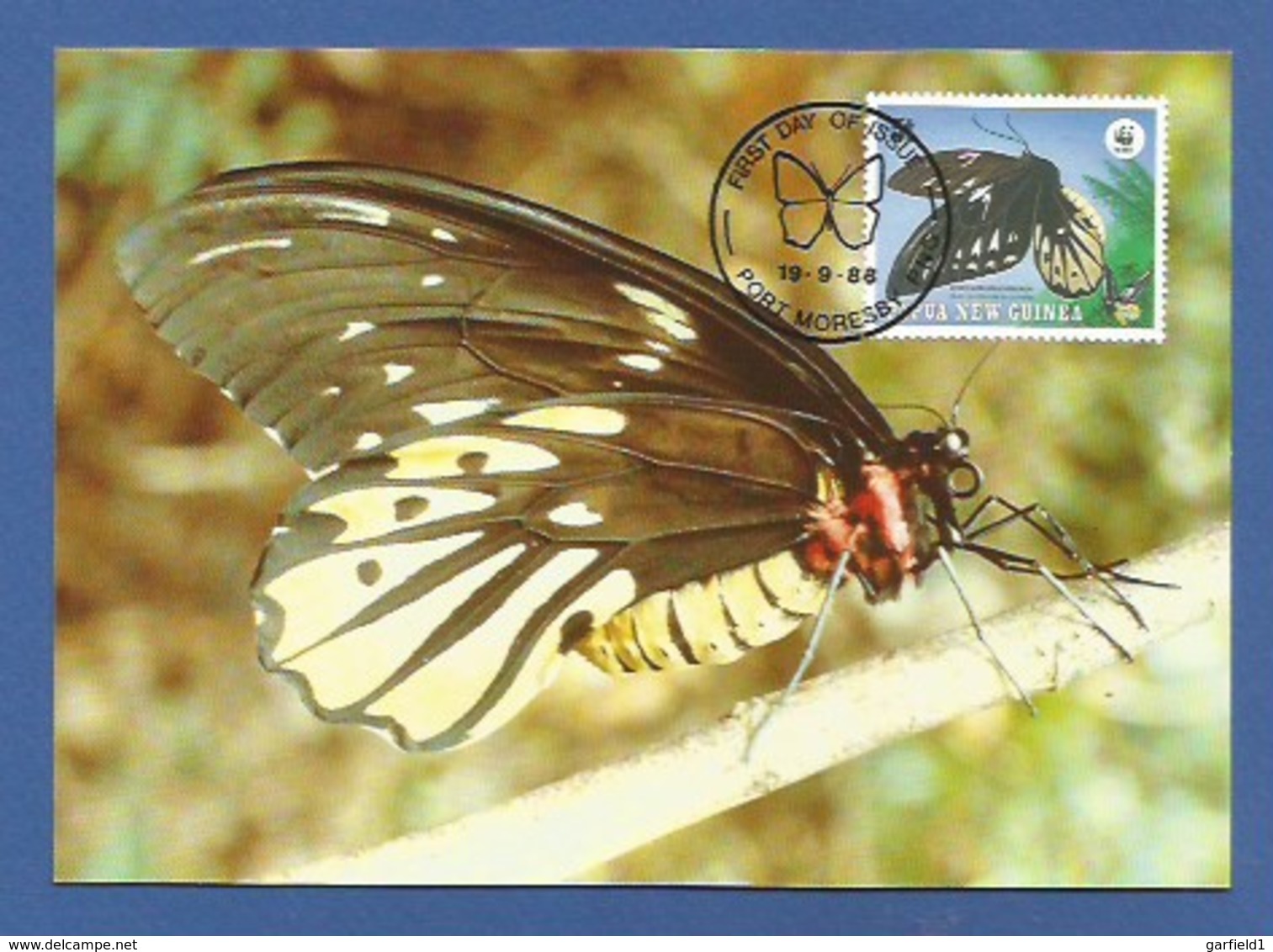 Papua-Neuguinea 1988  Mi.Nr. 574 , Queen Alexandra`s Birdwing Butterfly - WWF Maximum Karte - First Day  19.9.1988 - Papouasie-Nouvelle-Guinée