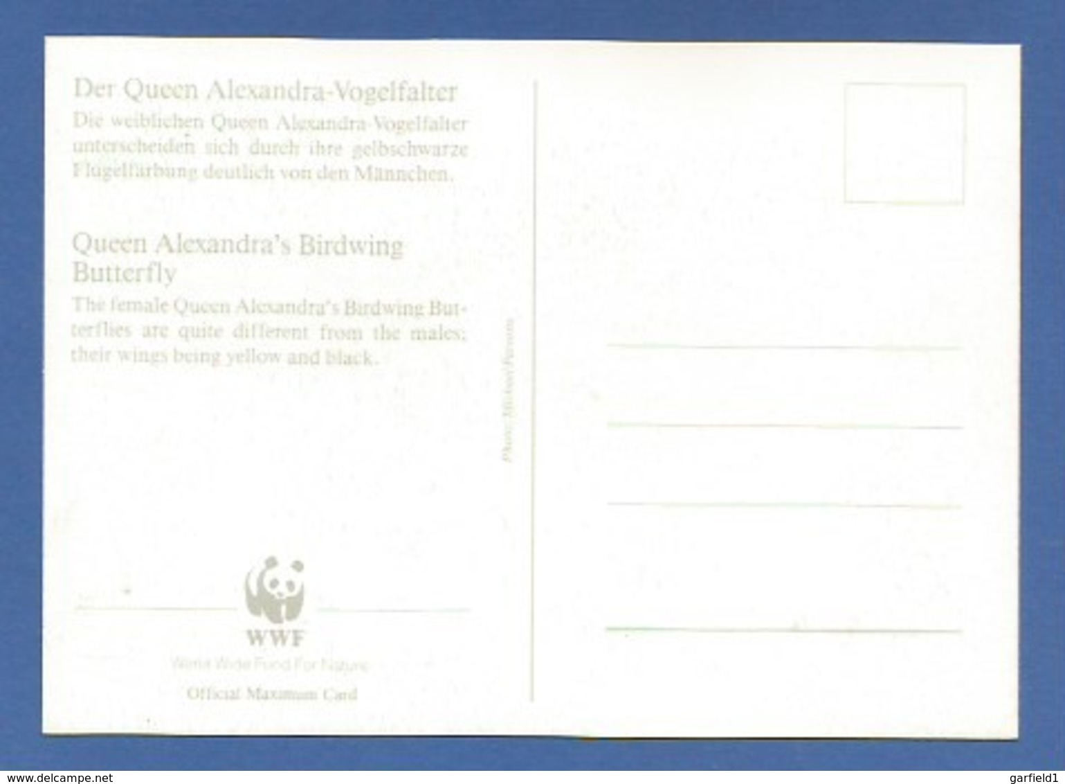 Papua-Neuguinea 1988  Mi.Nr. 574 , Queen Alexandra`s Birdwing Butterfly - WWF Maximum Karte - First Day  19.9.1988 - Papouasie-Nouvelle-Guinée