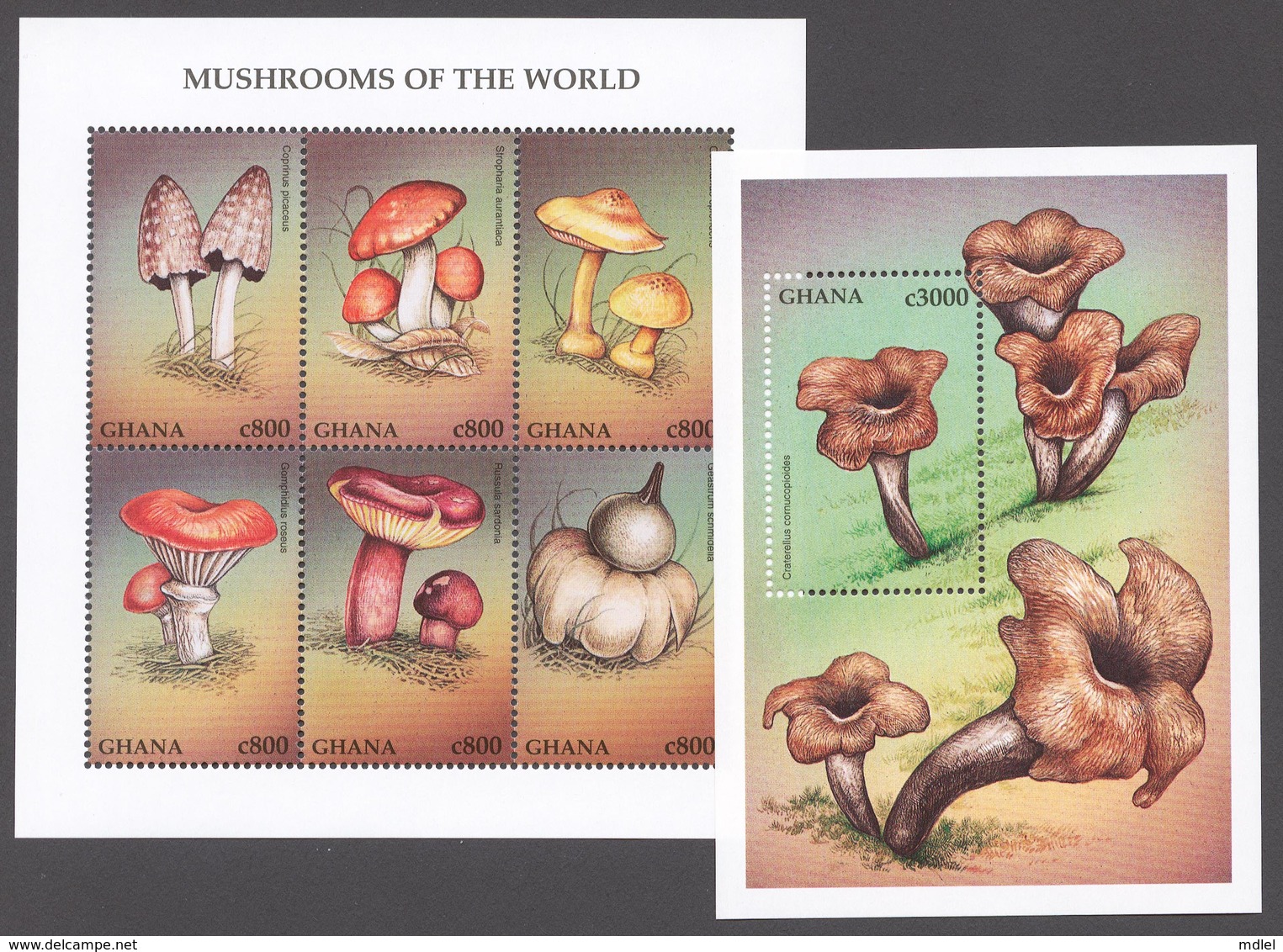 Ghana 1997 Mi# 2534-39+ Bl.324** MUSHROOMS - Ghana (1957-...)