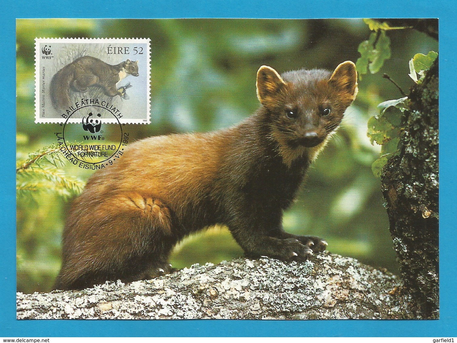 Irland 1992   Mi.Nr. 801 , Pine Marten - WWF Maximum Karte - First Day  9.VII.1992 - Cartes-maximum