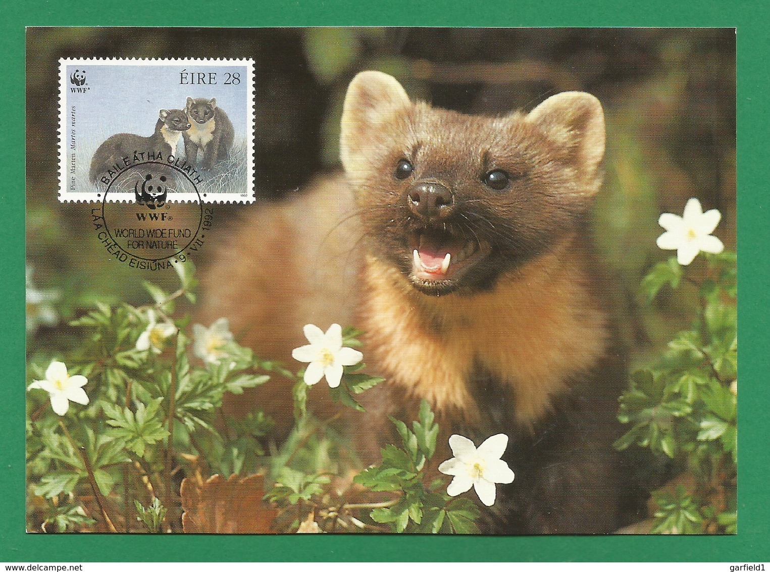 Irland 1992   Mi.Nr. 798 , Pine Marten - WWF Maximum Karte - First Day  9.VII.1992 - Cartes-maximum