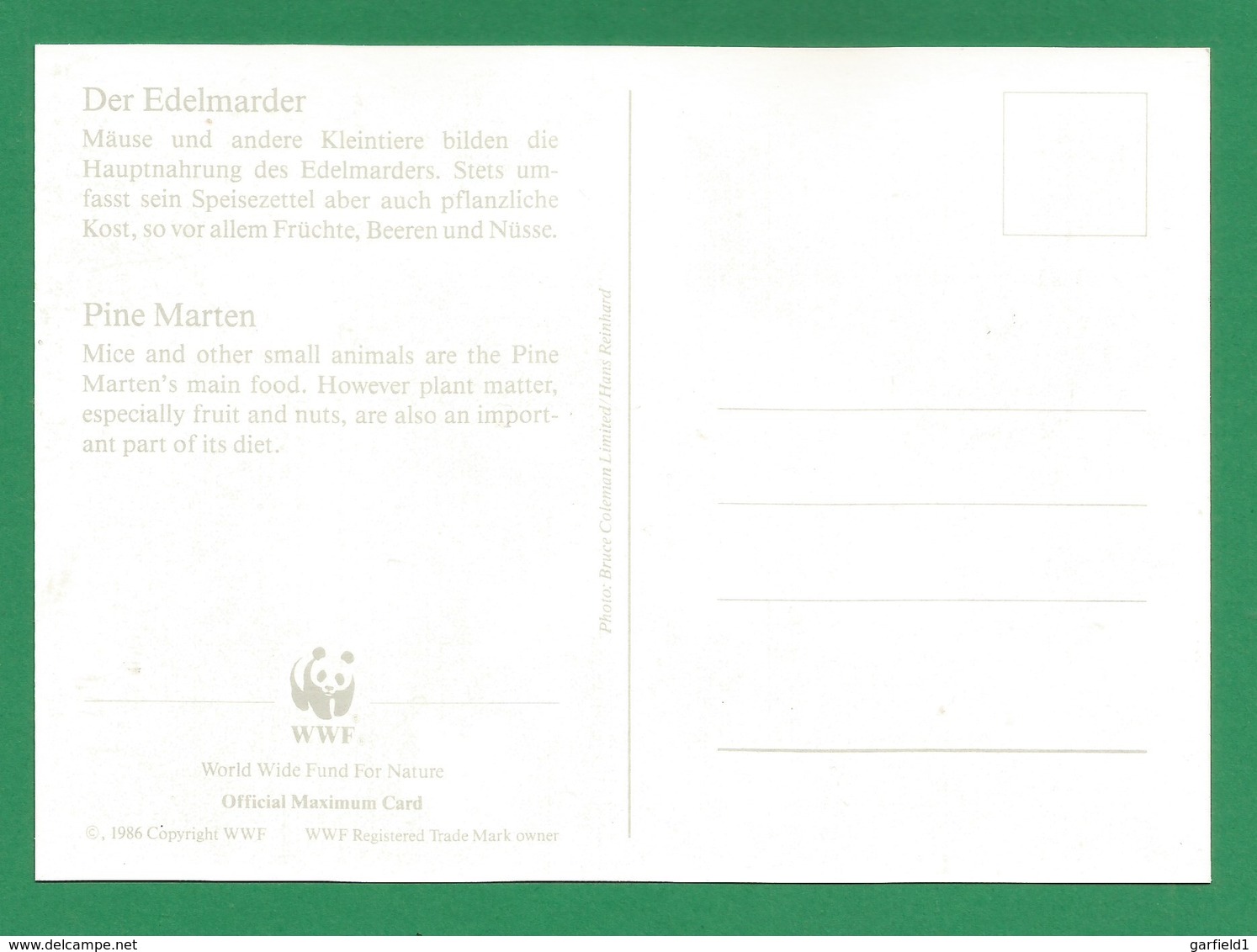 Irland 1992   Mi.Nr. 798 , Pine Marten - WWF Maximum Karte - First Day  9.VII.1992 - Maximumkaarten