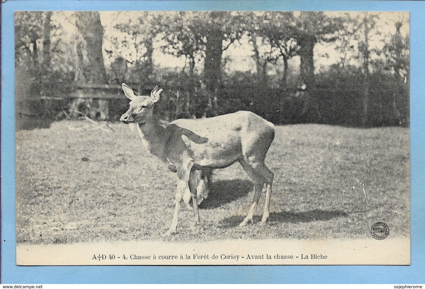 Chasse à Courre à La Forêt De Cerisy - Avant La Chasse - La Biche 2 Scans Envoyée De Balleroy - Autres & Non Classés