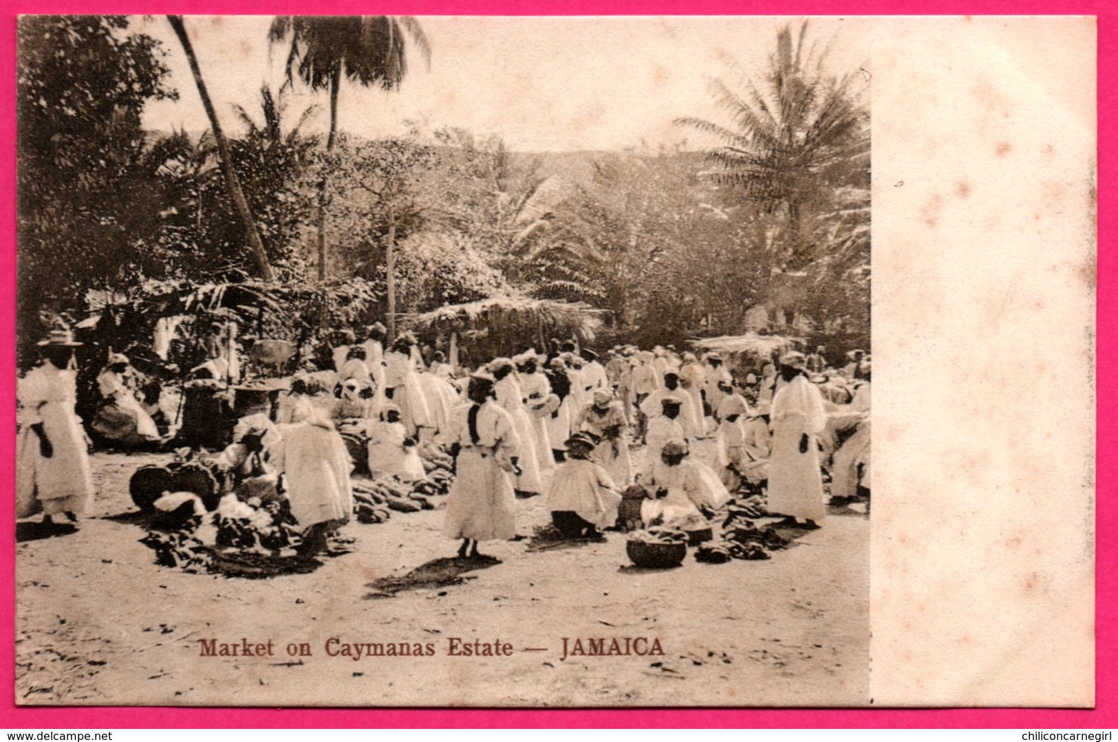 ** RARE ** - Jamaïque - Market On Caymanas Estate - Marché Caïmans - Animée - WEST INDIAN VIEW POSTCARD SERIE V - Jamaïque