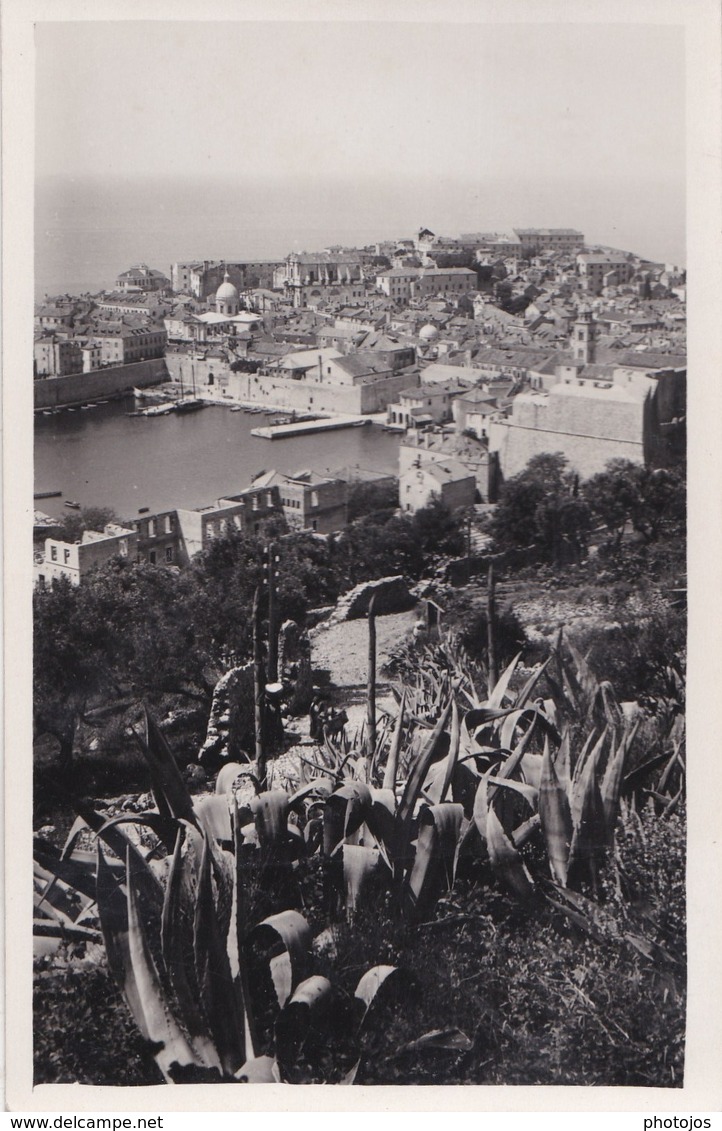 Carte Postale : Raguse Dubrovnik  (Croatie) Vue Sur Le Port  Et L'Adriatique    Rare - Croatie