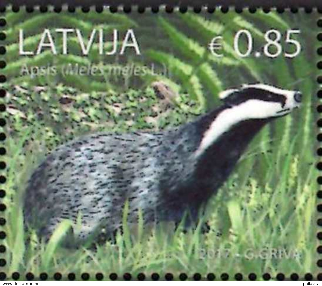 2017 Latvia / Lettland - European Badger/ Europäischer Dachs - 1v MNH** Mi 1018 (gg) - Sonstige & Ohne Zuordnung