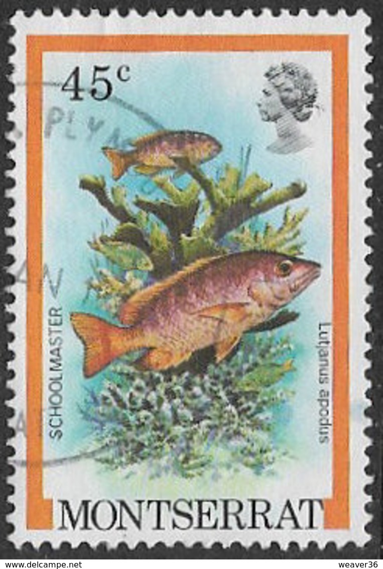 Montserrat SG496 1981 Fishes 45c Good/fine Used [9/11132/1D] - Montserrat