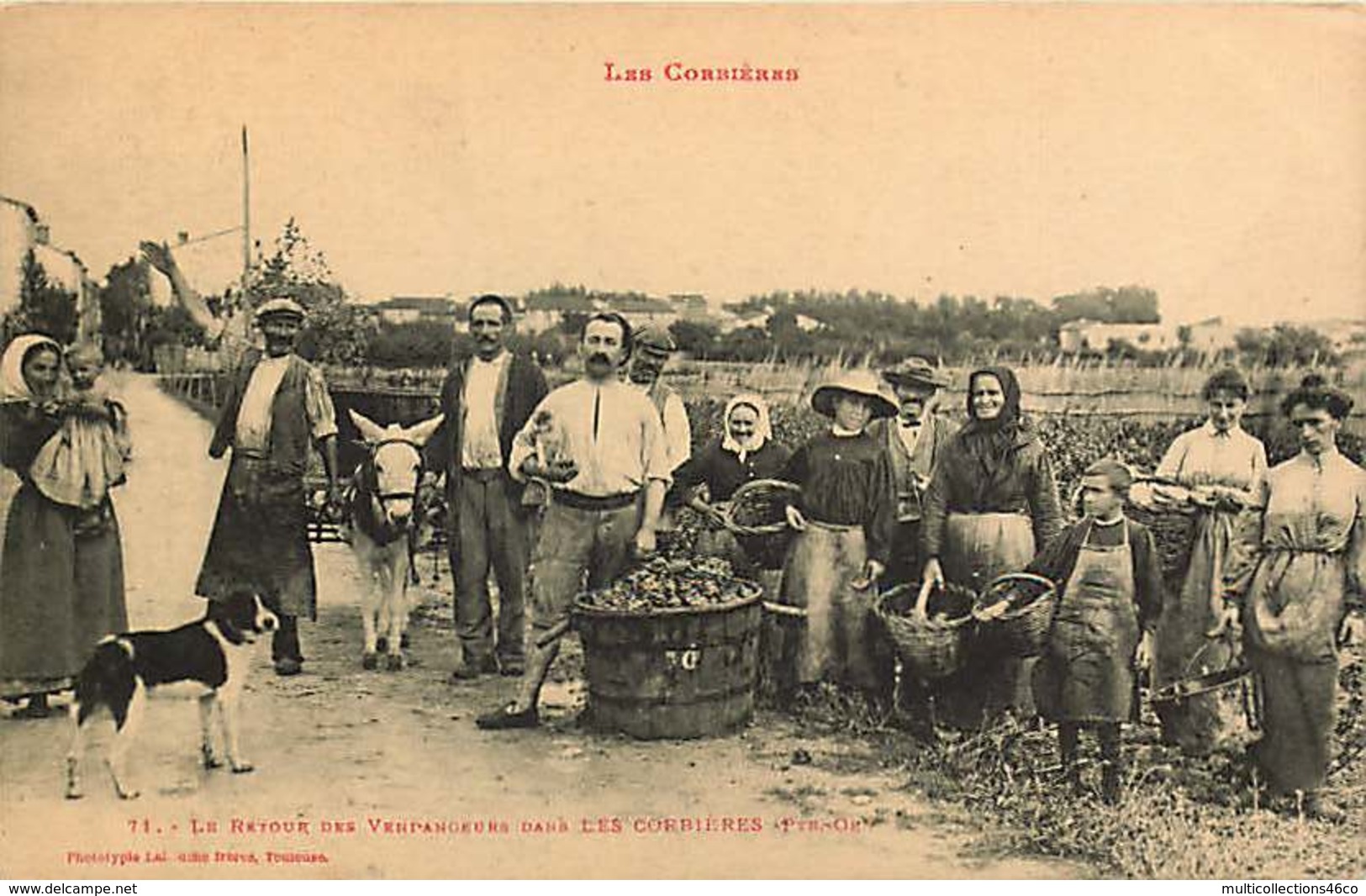 111218 - 66 LES CORBIERES - Retour Des Vendangeurs Dans Les Corbières - Vin Vignoble Paysan âne Scène Champêtreê - Autres & Non Classés