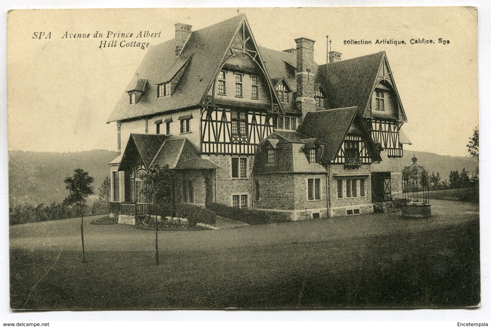 CPA - Carte Postale - Belgique - Spa - Avenue Du Prince Albert - Hill Cottage - 1910 (SV6600) - Spa