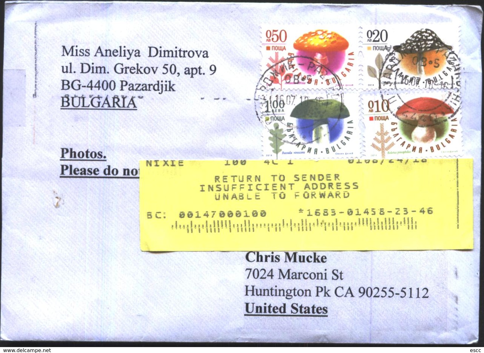 Mailed Cover (letter) With Stamps  Mushrooms 2014  From Bulgaria - Briefe U. Dokumente