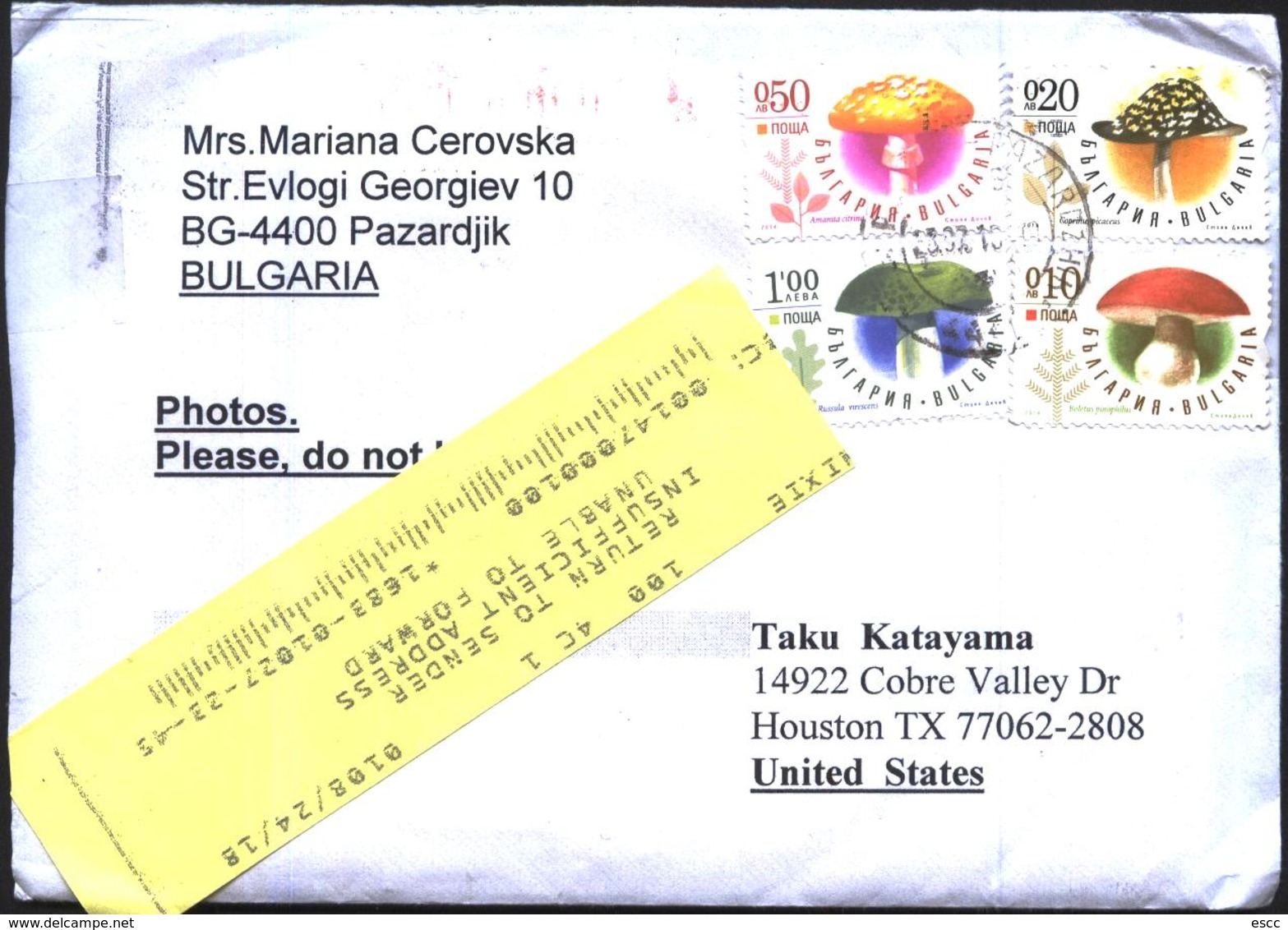 Mailed Cover (letter) With Stamps  Mushrooms 2014  From Bulgaria - Briefe U. Dokumente