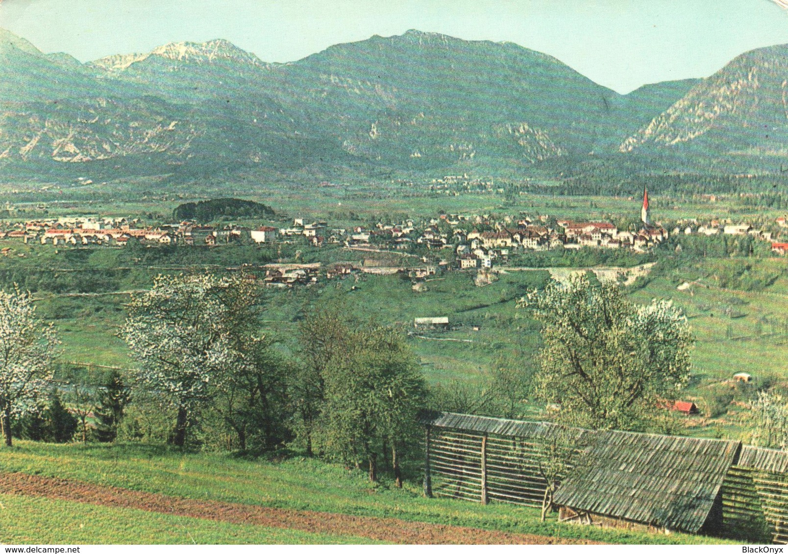 557  AK SLO - RADOVLJICA - Slowenien