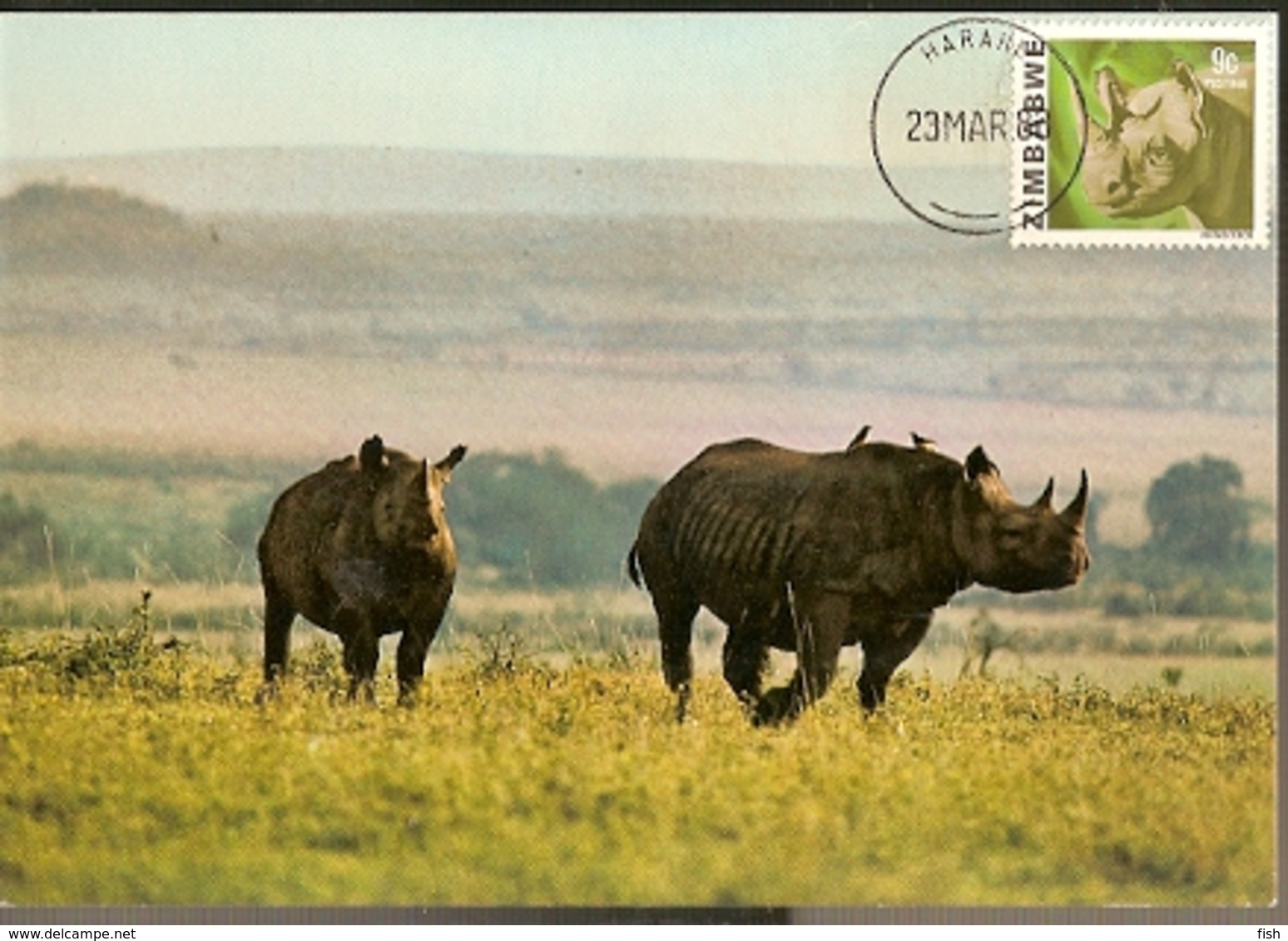 Zimbabwe & Maxi Card,  East African Wild Life, Black Rhinoceros, Diceros Bicornis Harare (191) - Zimbabwe (1980-...)