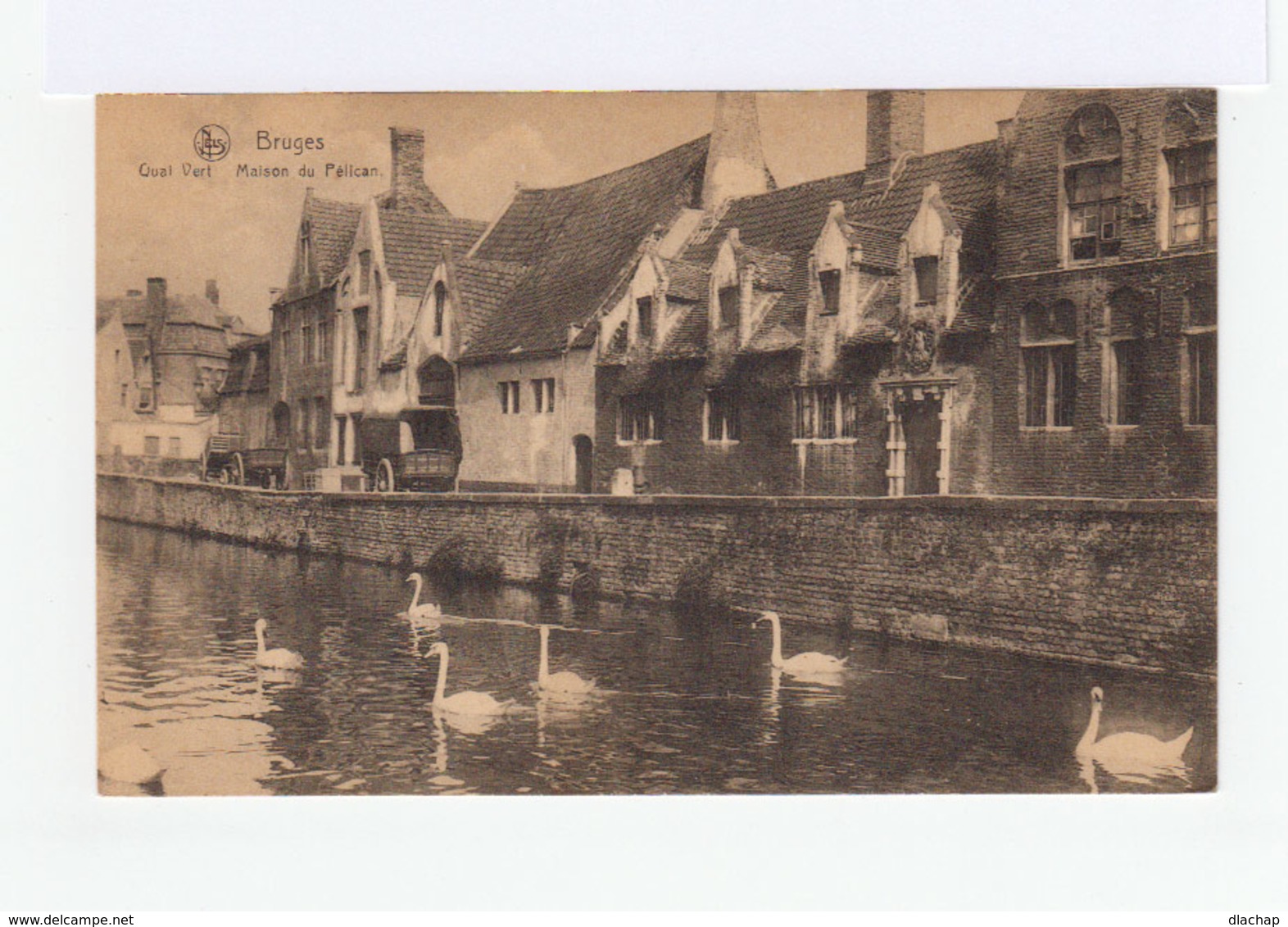 Bruges. Quai Vert. Maison Du Pélican. Charrettes, Cygnes. (3174) - Brugge