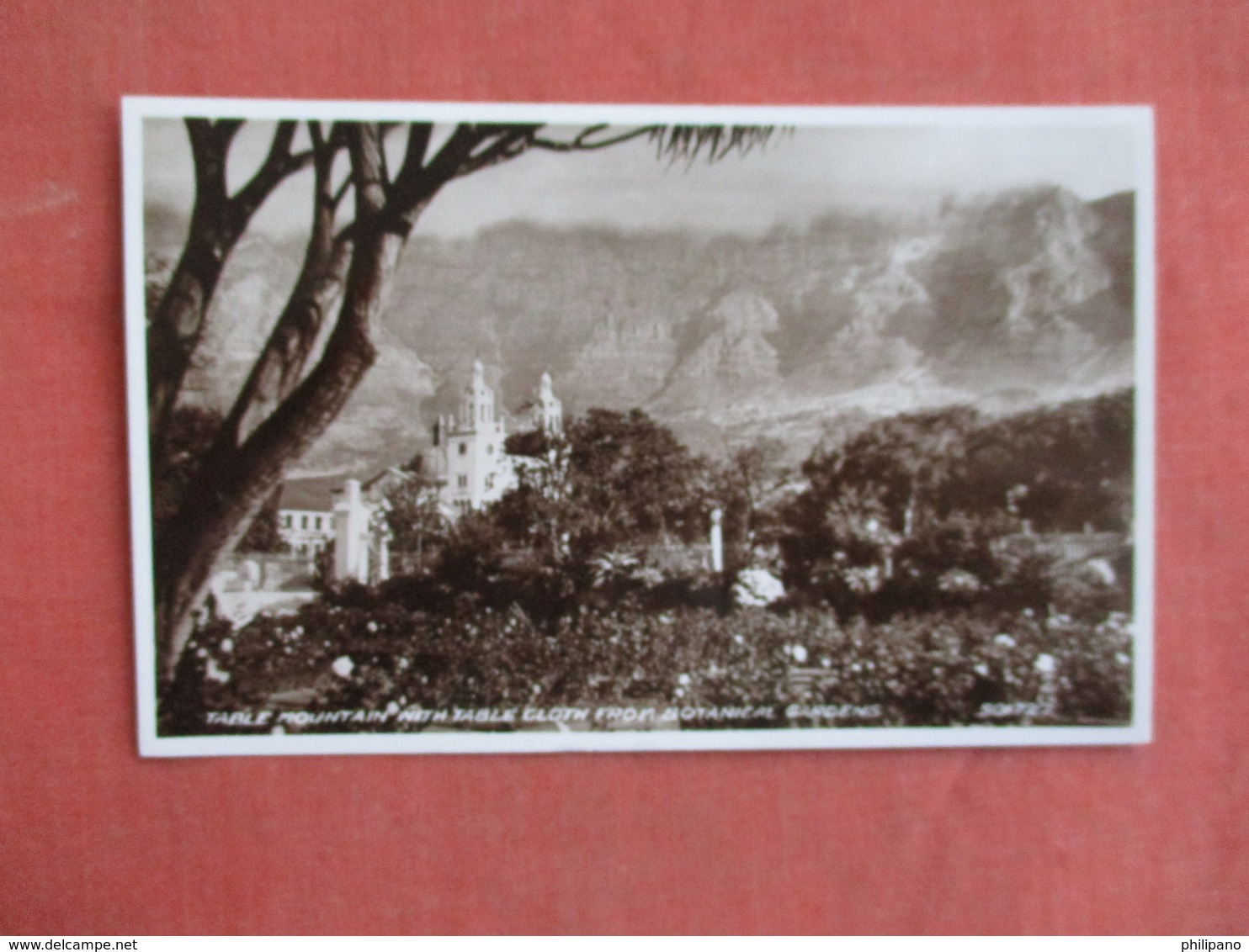 Cape Town - Table Mountain RPPC    Ref 3095 - Afrique Du Sud