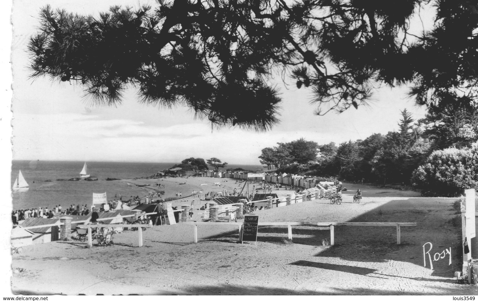 Noirmoutier   -   Promenade  Et  Plage  Des  Dames. - Noirmoutier