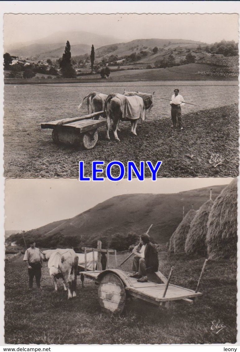 2 CPSM 10X15 Du PAYS BASQUE   (64) -    Le PASSAGE Du ROULEAU - L'ATTELAGE Du PAYS -  N° 10216 -10221 - Autres & Non Classés