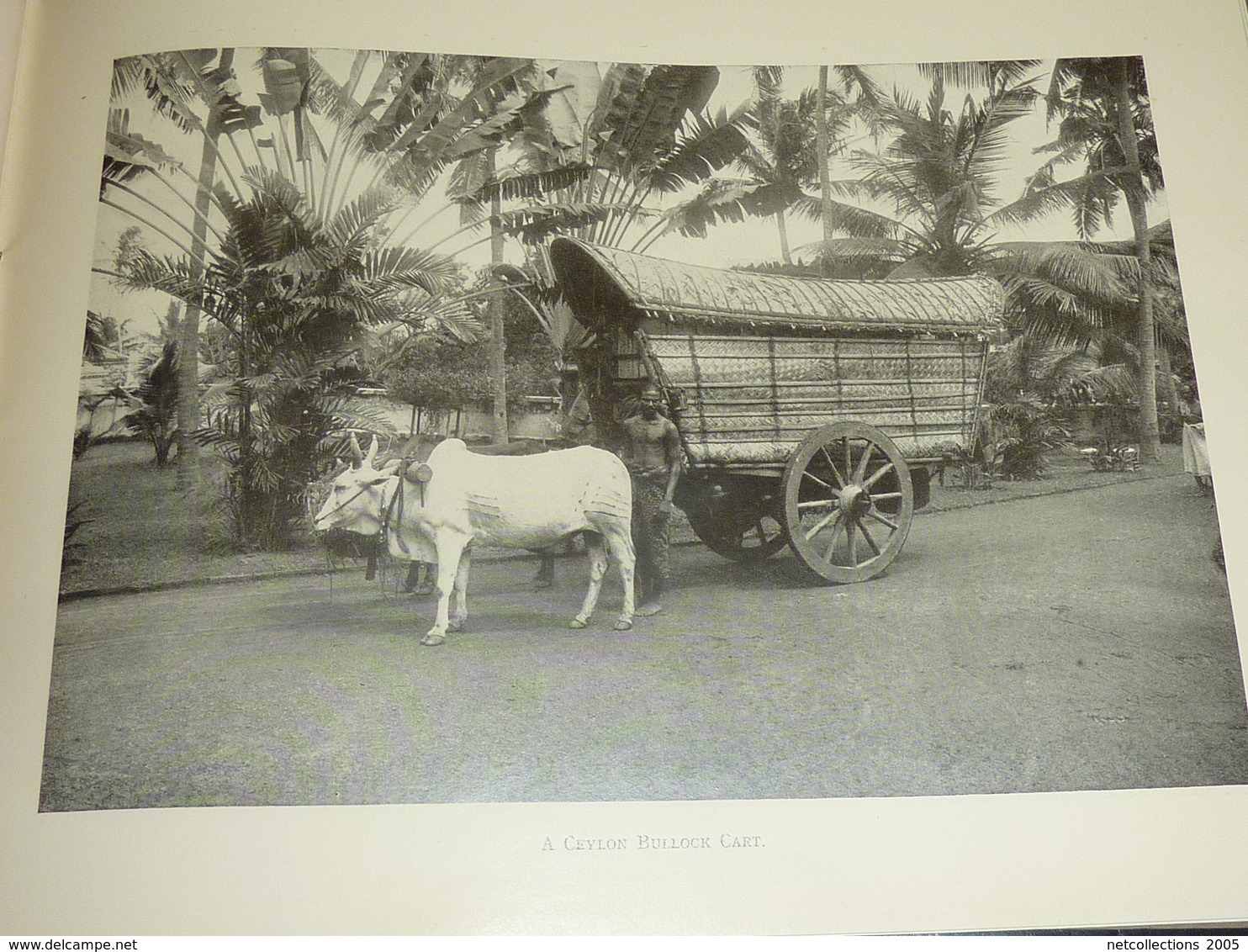 THE HUNDRED BEST VIEWS OF CEYLON - FROM PHOTOGRAPHS TAKEN BY THE PUBLISHERS - 100 MEILLEURS VUES DE CEYLON (AD)