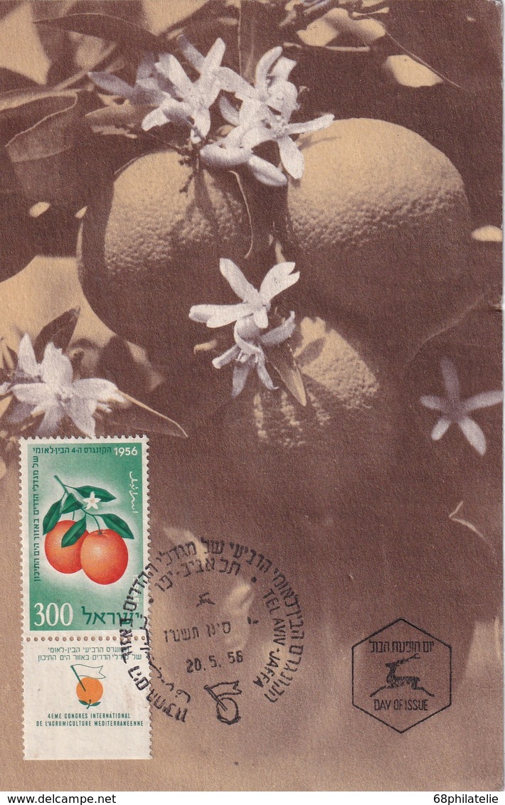 ISRAEL 1956 CARTE MAXIMUM DE TEL AVIV - Cartes-maximum