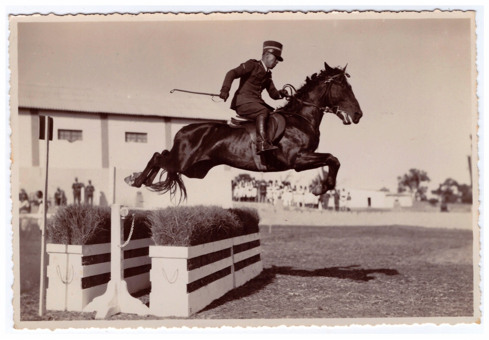 Tripoli  Ippodromo - Governo Della Tripolitania - Foto U. Pineschi - Guerra, Militari