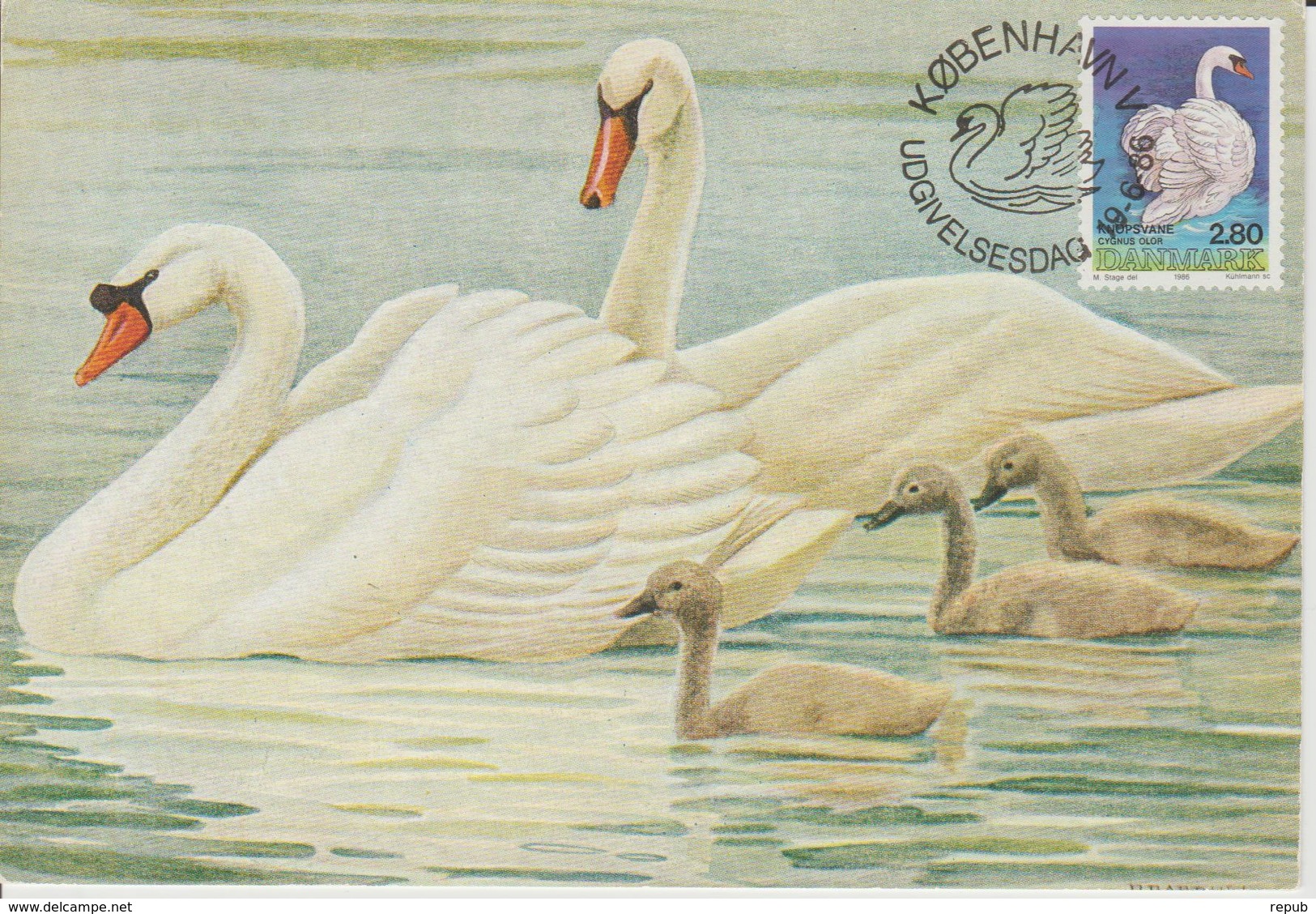 Danemark Carte Maximum 1986 Oiseau Cygne 880 - Cartes-maximum (CM)