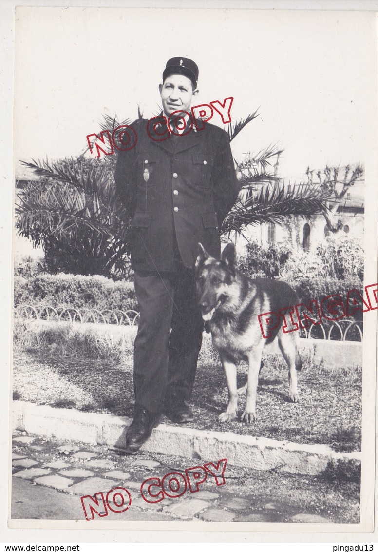 Au Plus Rapide Photo Archive D'un Gendarme Maître-chien Gendarmerie Nationale Beau Format - Guerre, Militaire