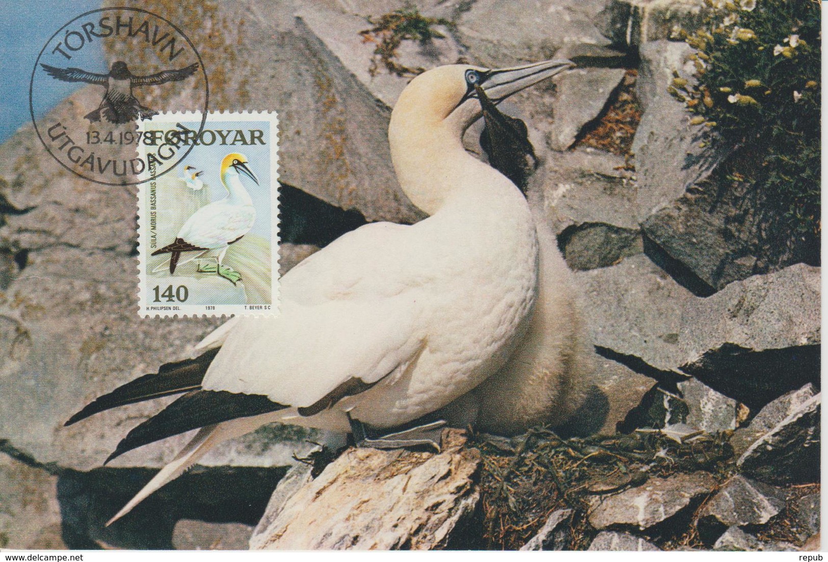 Féroé Carte Maximum Oiseaux 1978 Fou De Bassan 30 - Féroé (Iles)