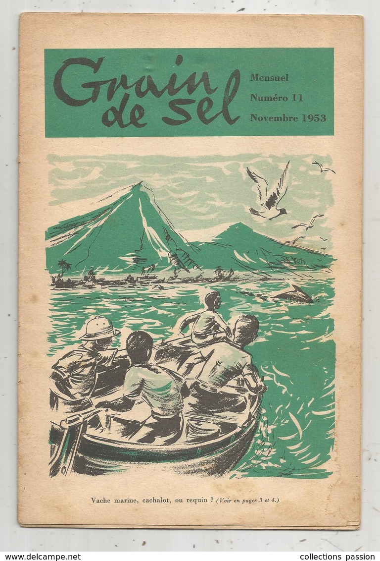 Mensuel , Jeunesse , GRAIN DE SEL ,n° 11 , Novembre 1953,15 Pages , Frais Fr 1.95 E - Altri & Non Classificati