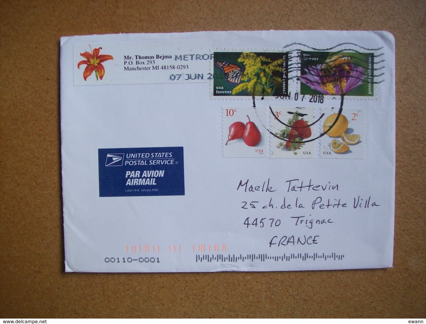 Etats-Unis- Enveloppe De 2018 - 5  Timbres (fleurs, Papillons, Fruits) - Briefe U. Dokumente