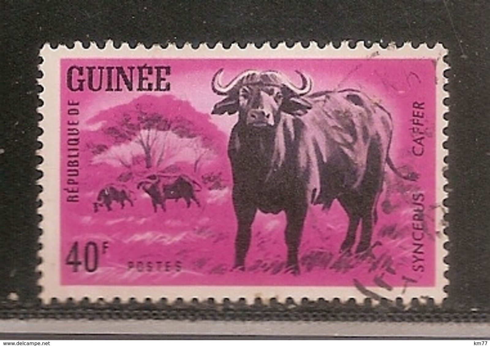 GUINEE OBLITERE - Guinée (1958-...)