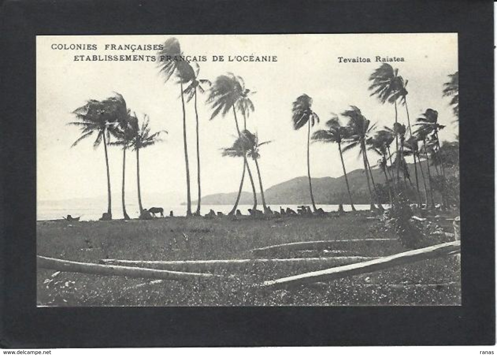 CPA Polynésie Française Océanie Océania Non Circulé Tevaitoa Raiatea - Polynésie Française