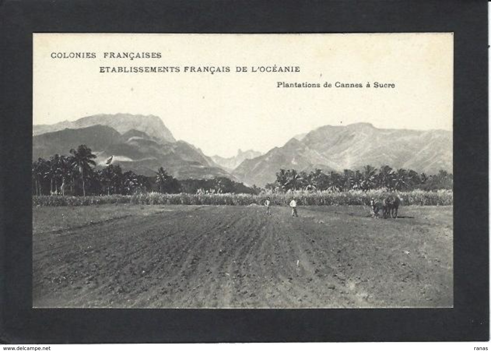 CPA Polynésie Française Océanie Océania Non Circulé Métier - Französisch-Polynesien