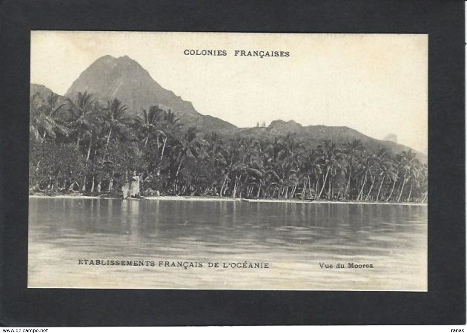 CPA Polynésie Française Océanie Océania Non Circulé  Moorea - Frans-Polynesië